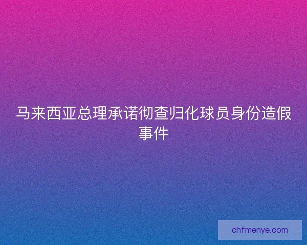 马来西亚总理承诺彻查归化球员身份造假事件